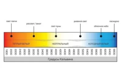 Картина продукта